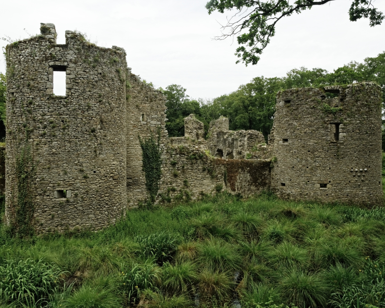 Руины замка в Бретань, Франция