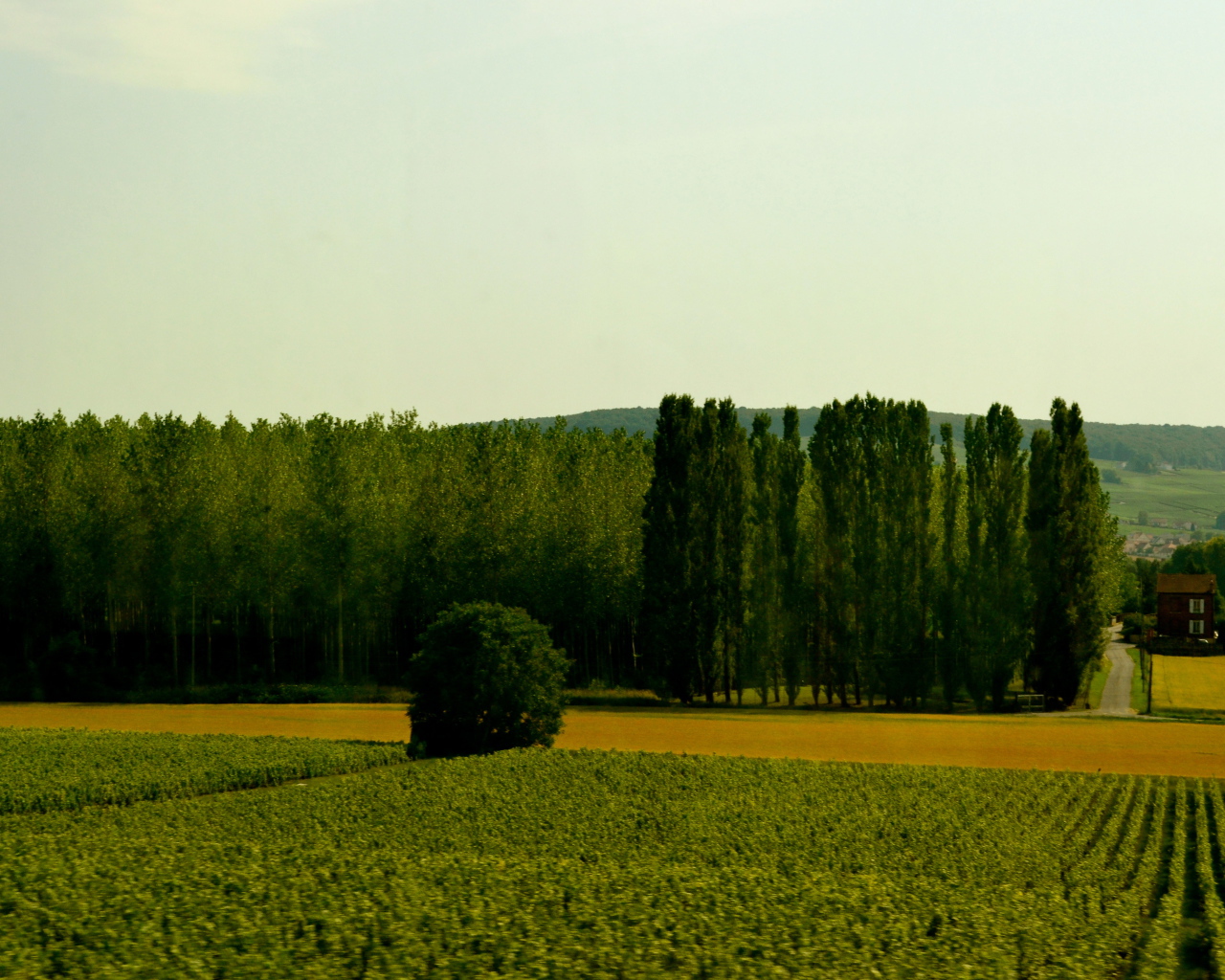 Сельский пейзаж в провинции Шампань, Франция