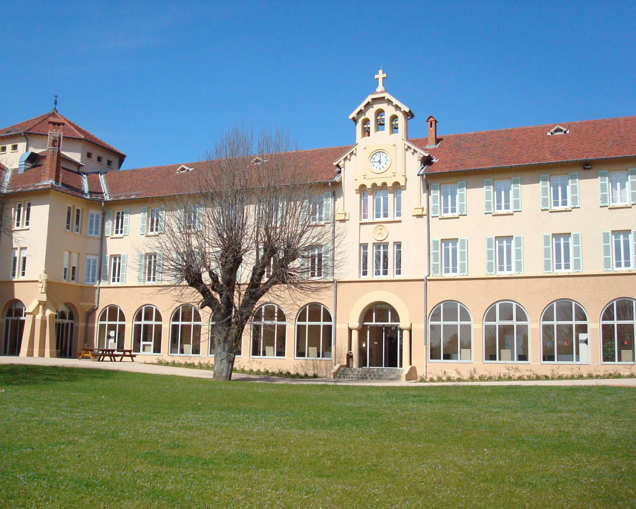 Дерево у здания в городе Лион, Франция