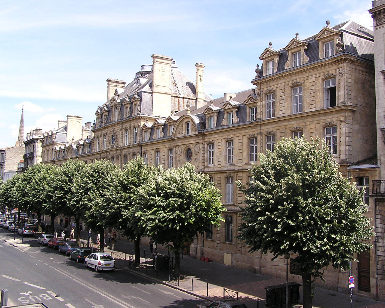 Деревья на улице в Бордо, Франция