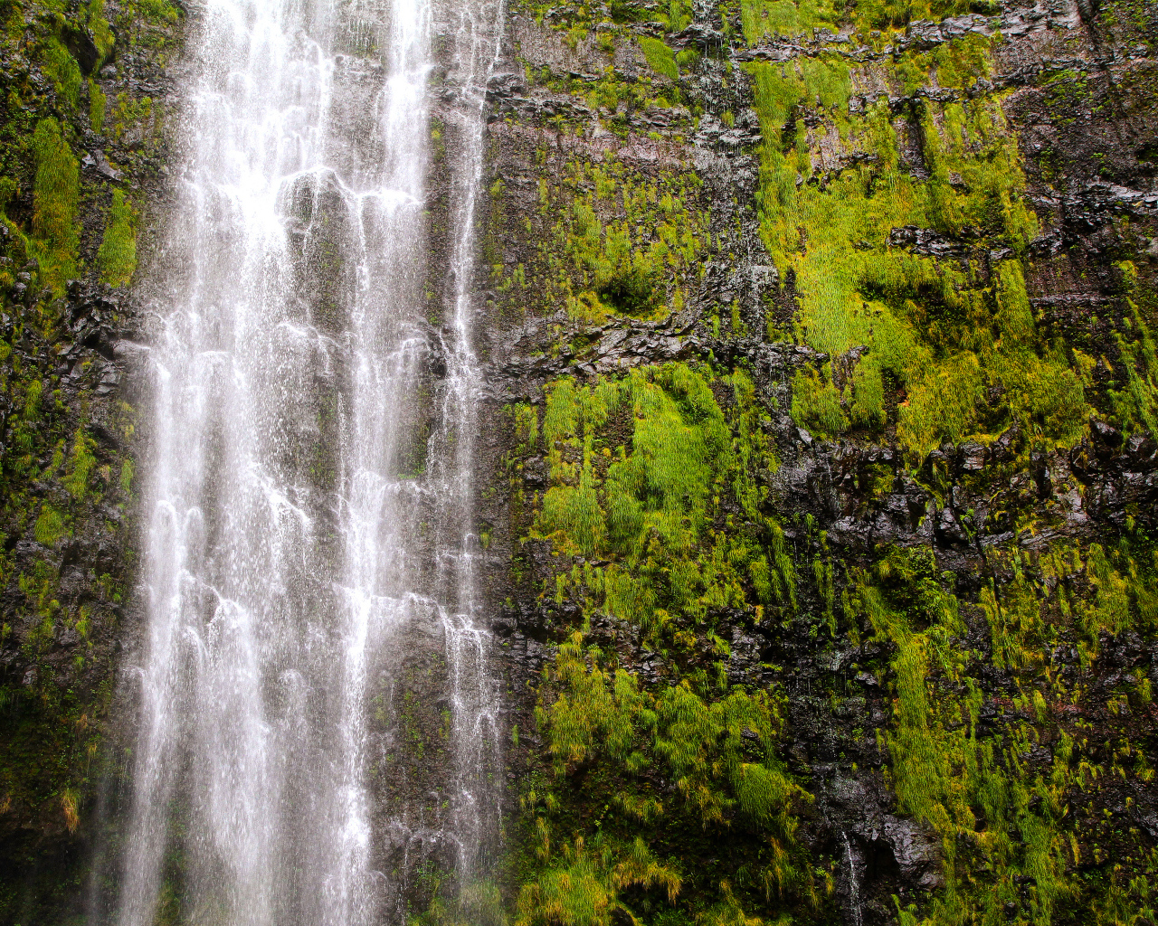 Красивый водопад Ваймоку на острове Мауи, Гавайи