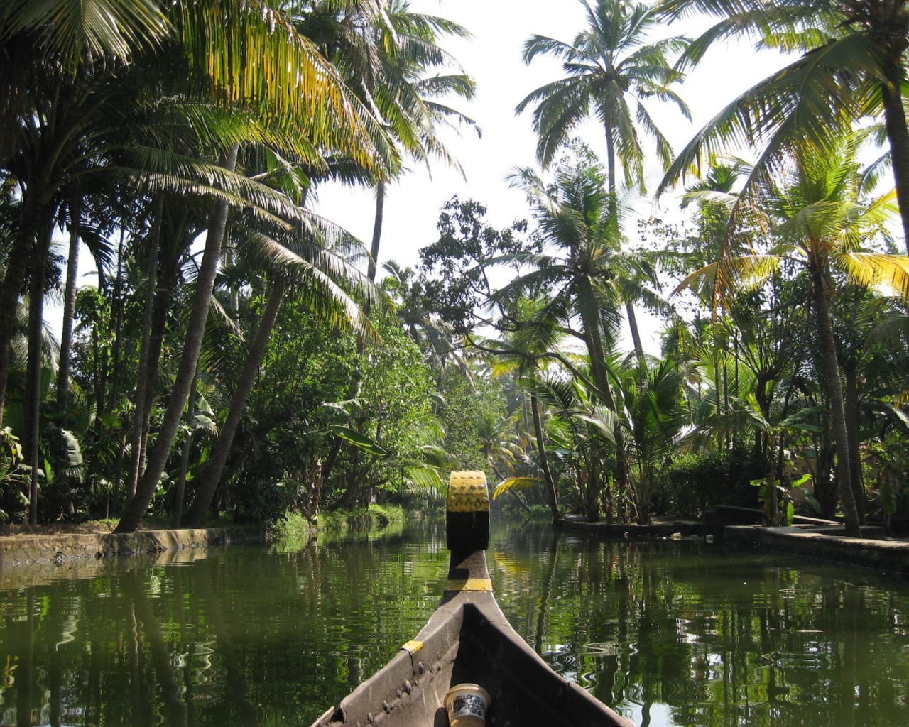 Прогулка на лодке в Алапуже