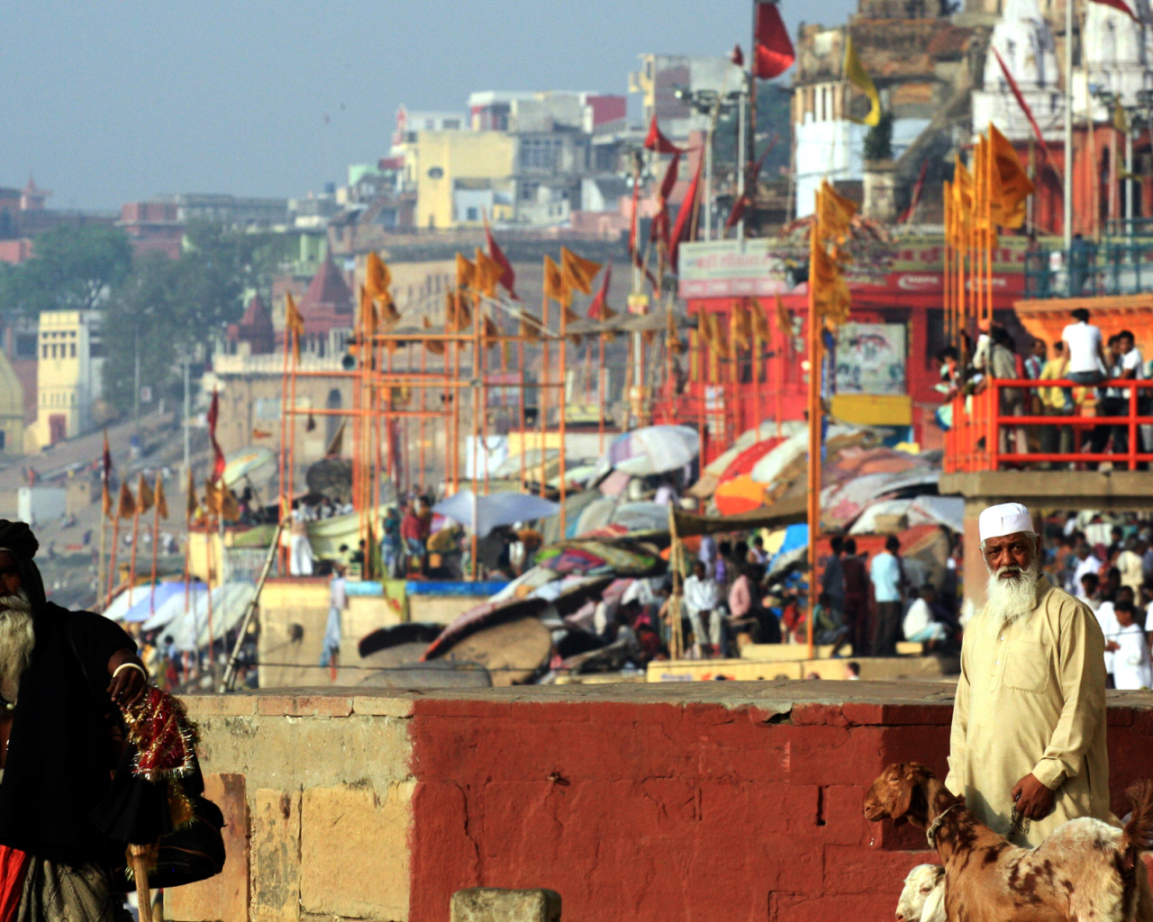 Житель Варанаси с козами