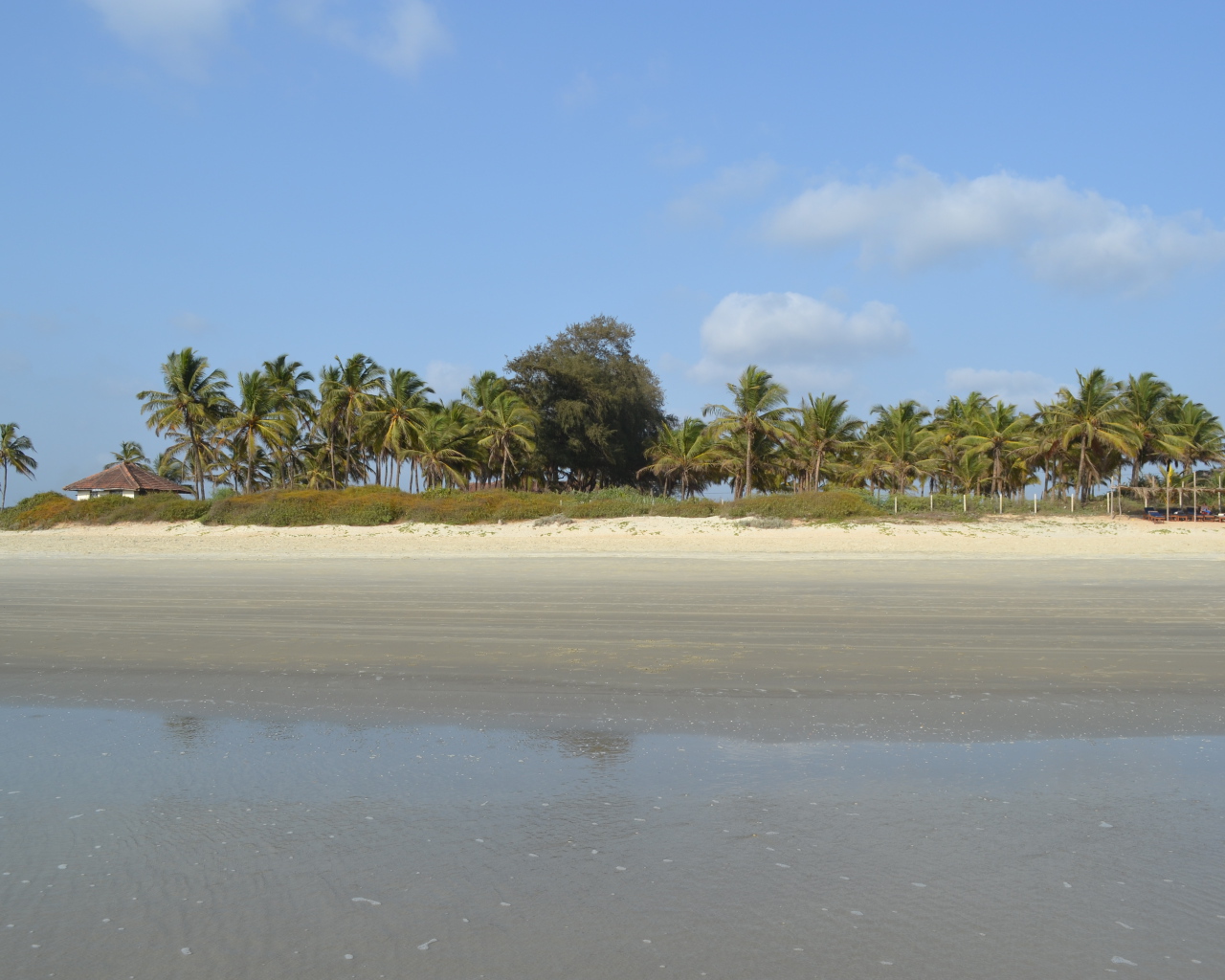 Осенний отпуск в Бенаулиме