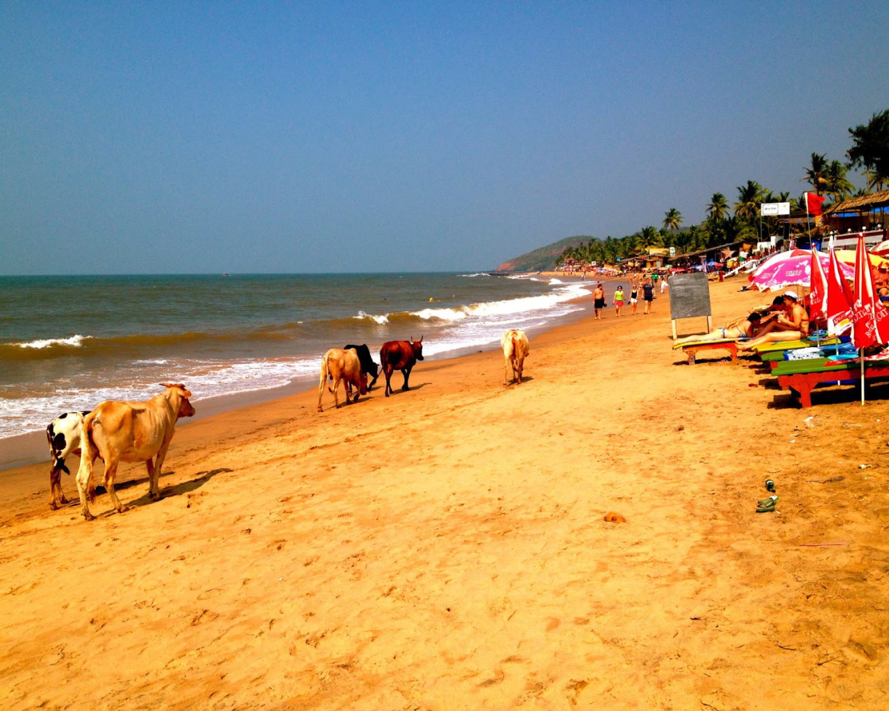 Пляжи в Анджуне