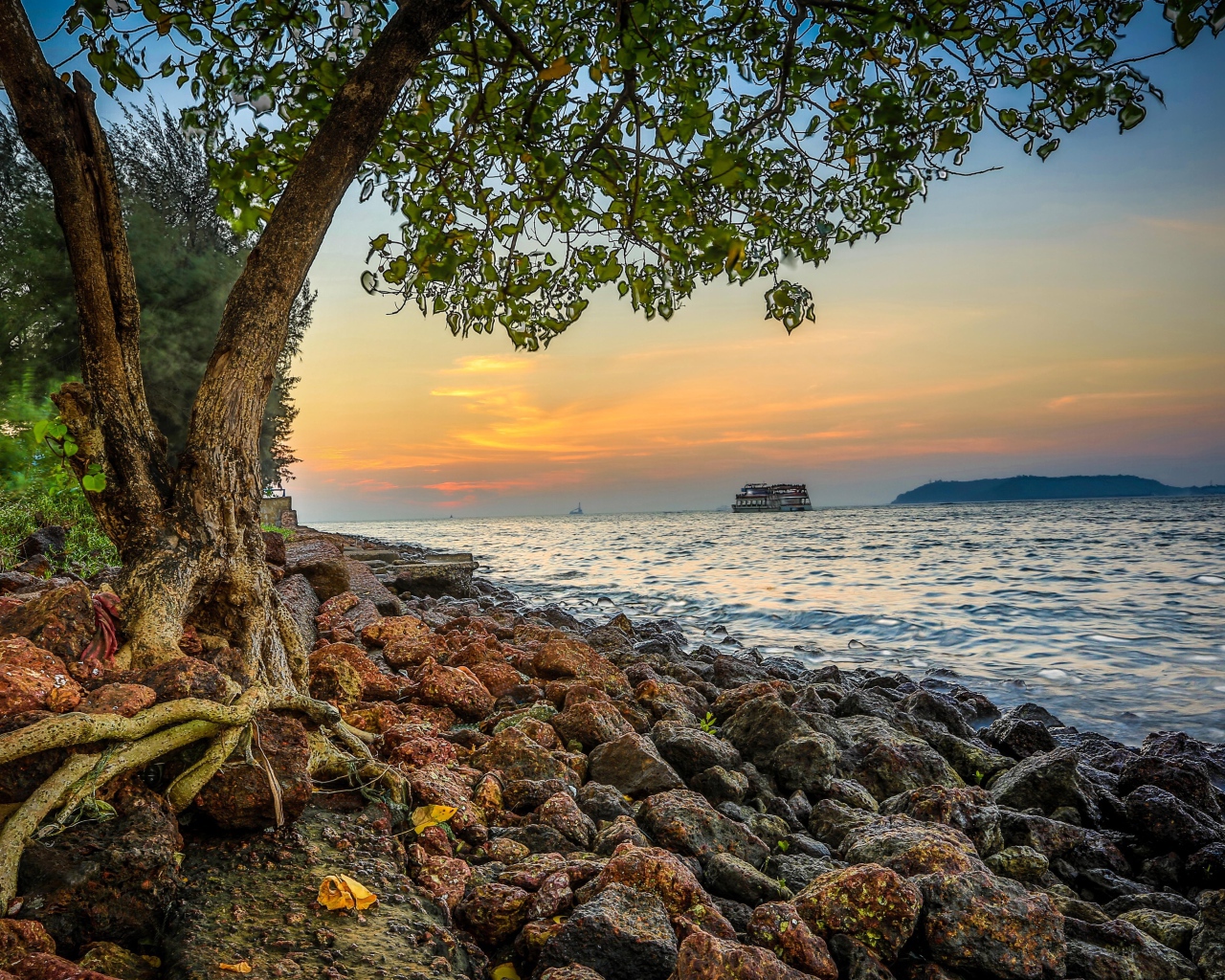 Красивые ландшафты в Гоа