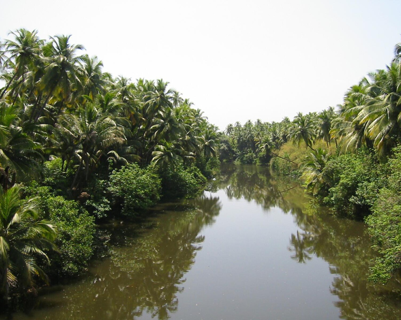 Красивая природа Гоа