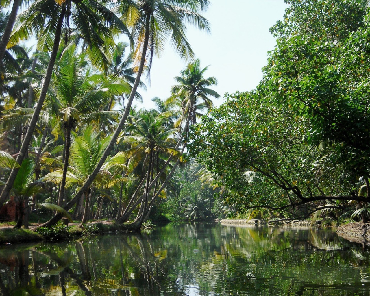 Красивая природа в Алапужа