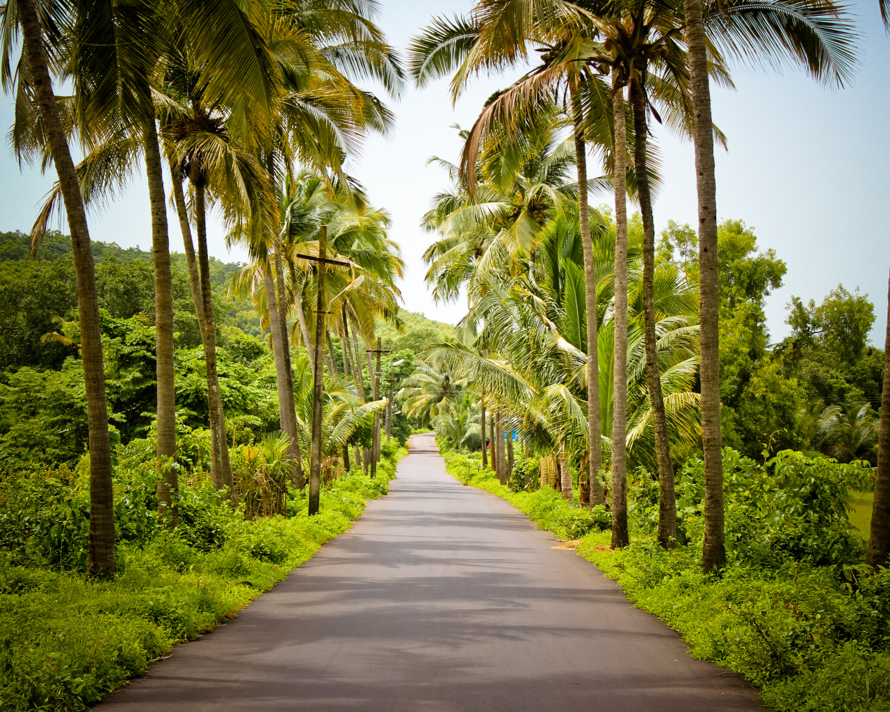 Красивые улицы в Гоа