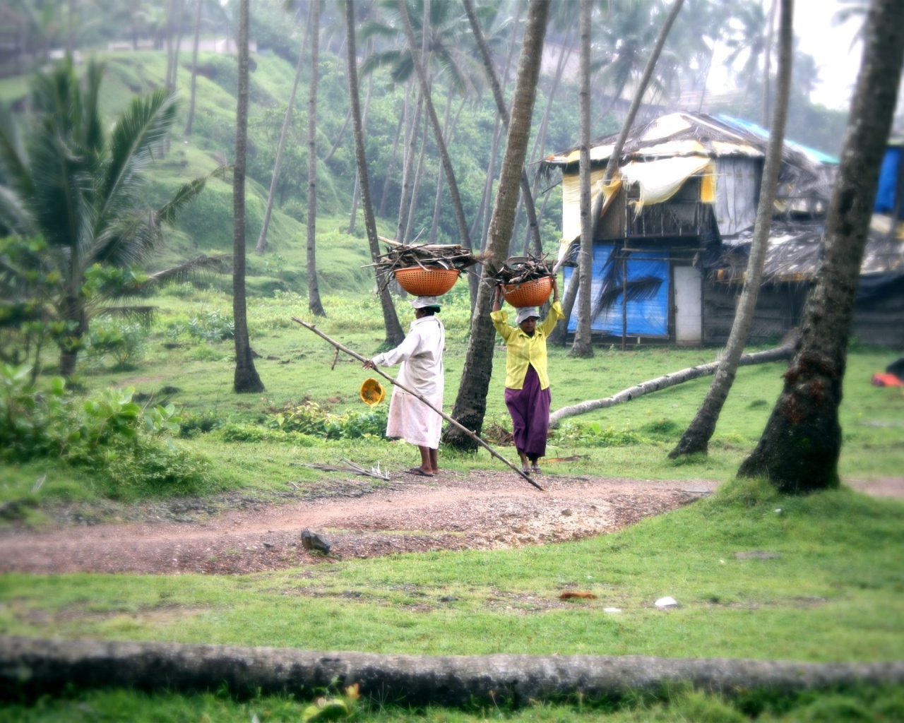 Красивые улицы в Вагаторе