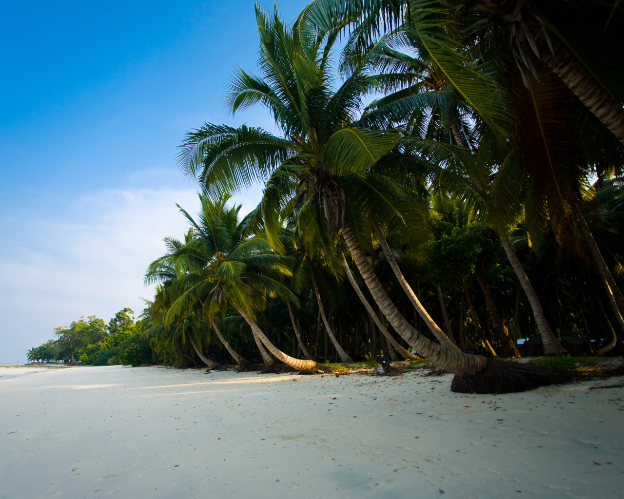 Красивые улицы на Андаманских островах