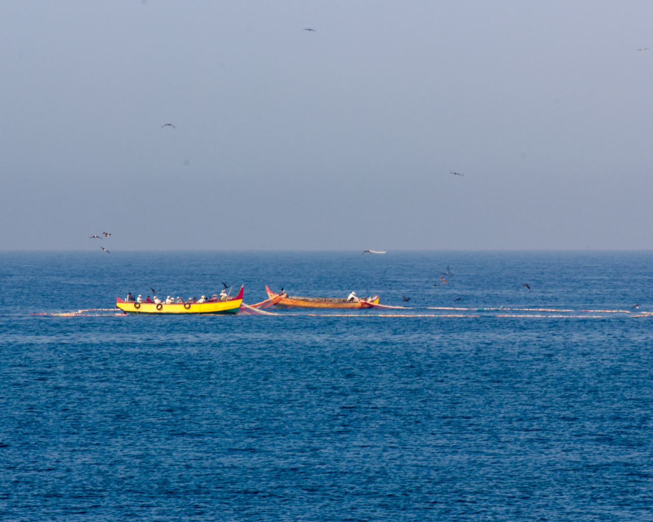 Лодки возле побережья в Варкале