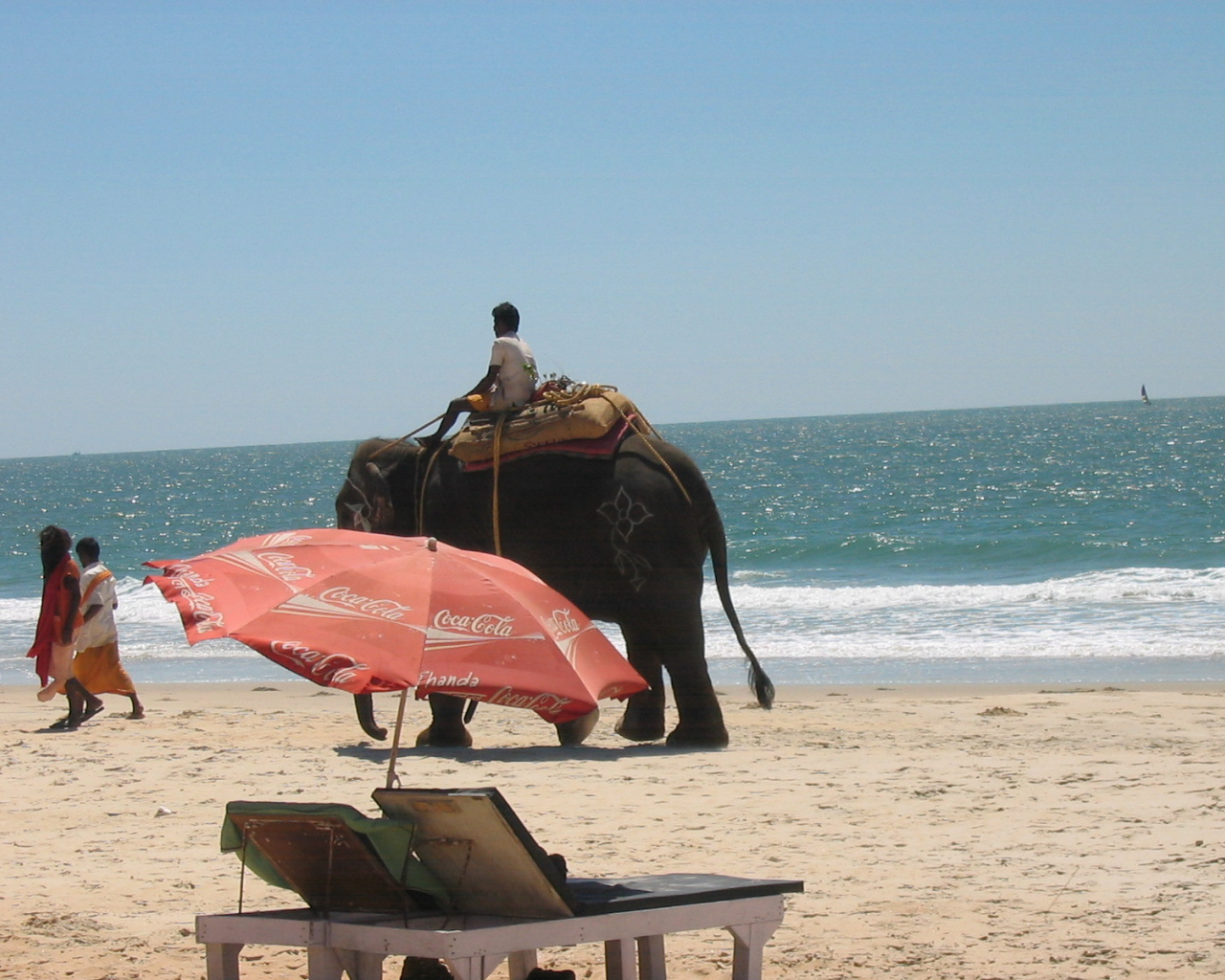 Слон на пляже в Бенаулиме