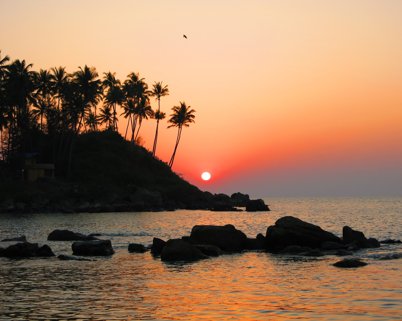 Вечер в Арамболе