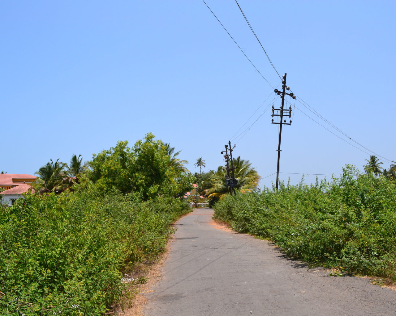 Природа в Бенаулиме