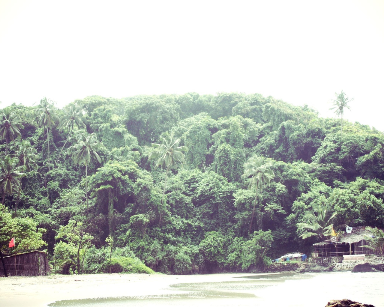 Природа в Вагаторе