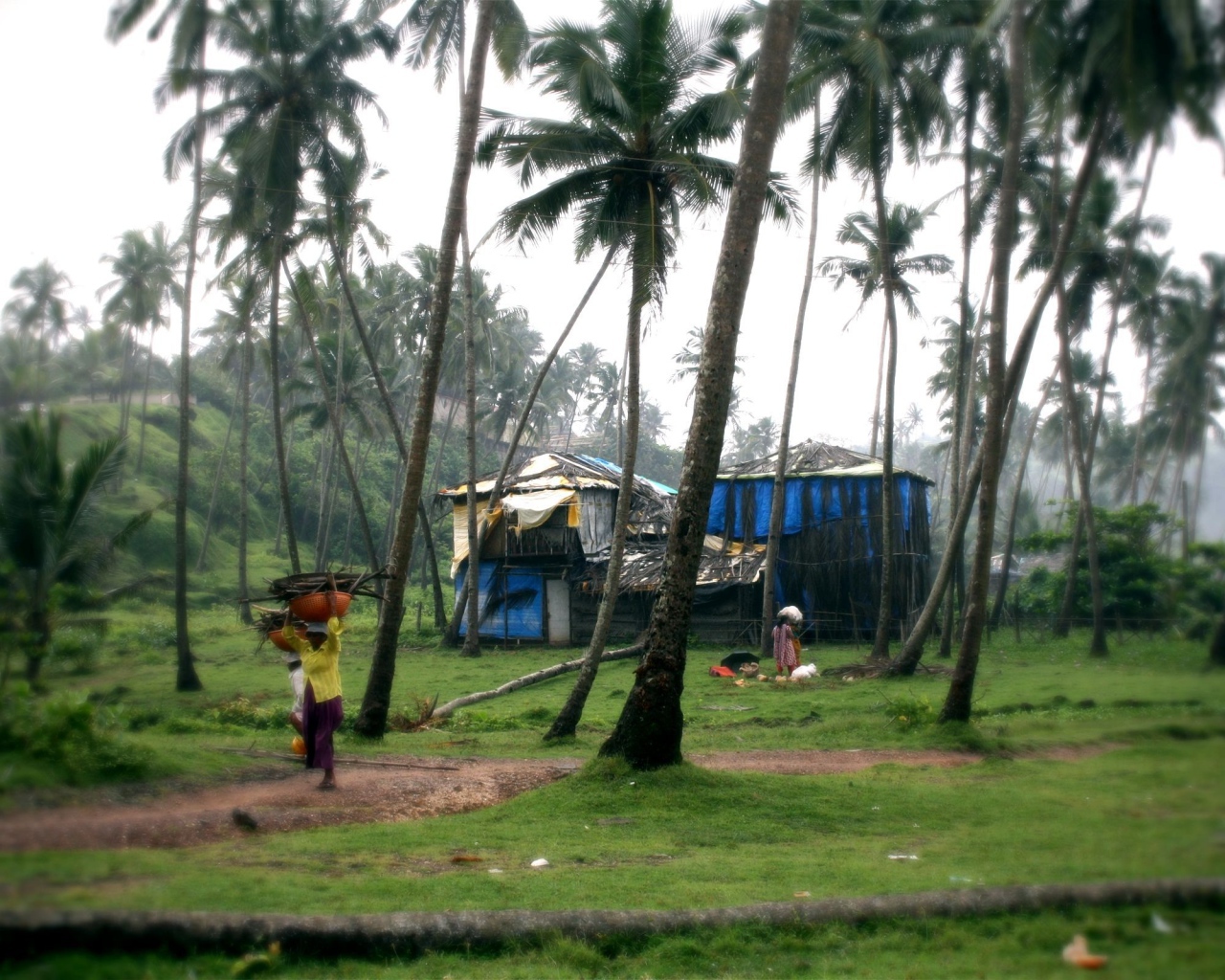 Красивый вид на Вагатор