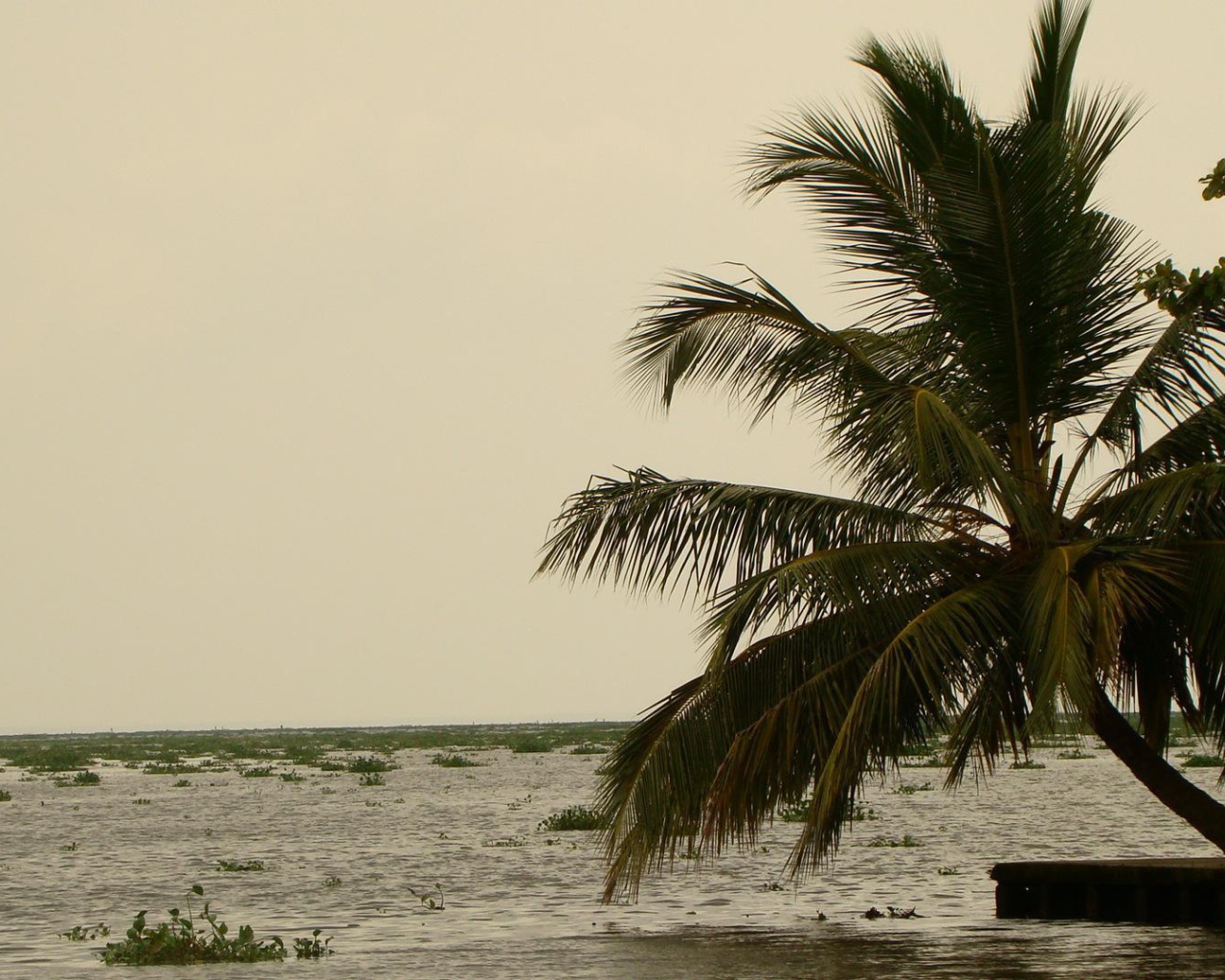 Весенний отпуск в Алапуже