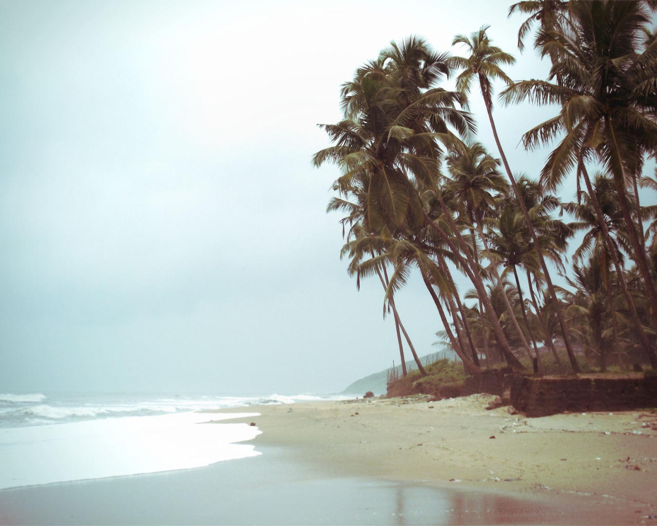 Высокие пальмы на пляже в Анджуне