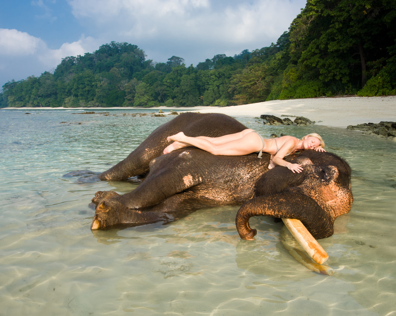 Девушка на слоне на Андаманских островах