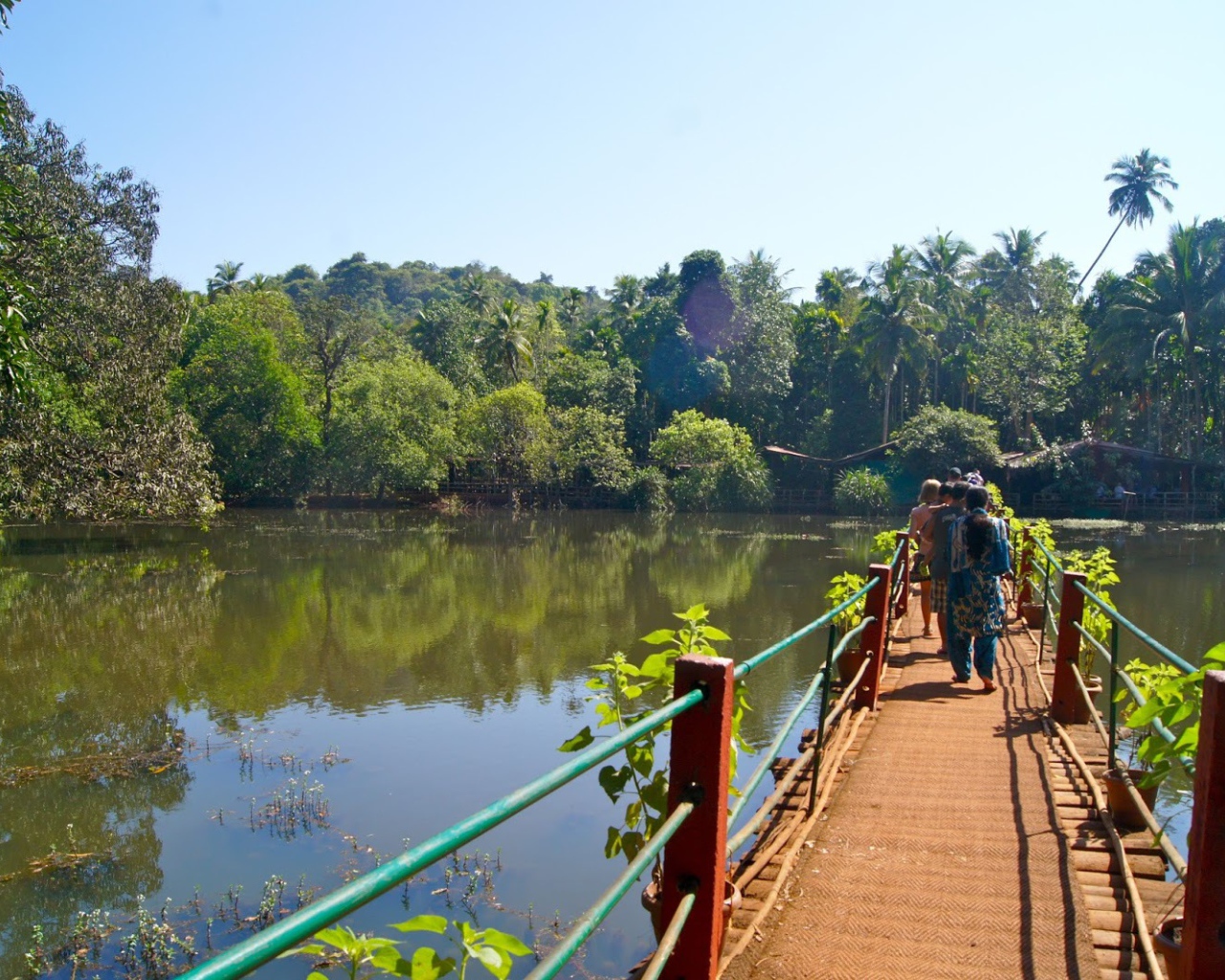 Туристы на мостике в Гоа