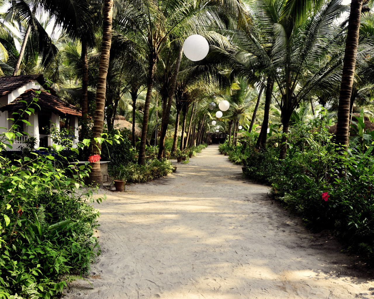 Прогулка по улицам Ашвема