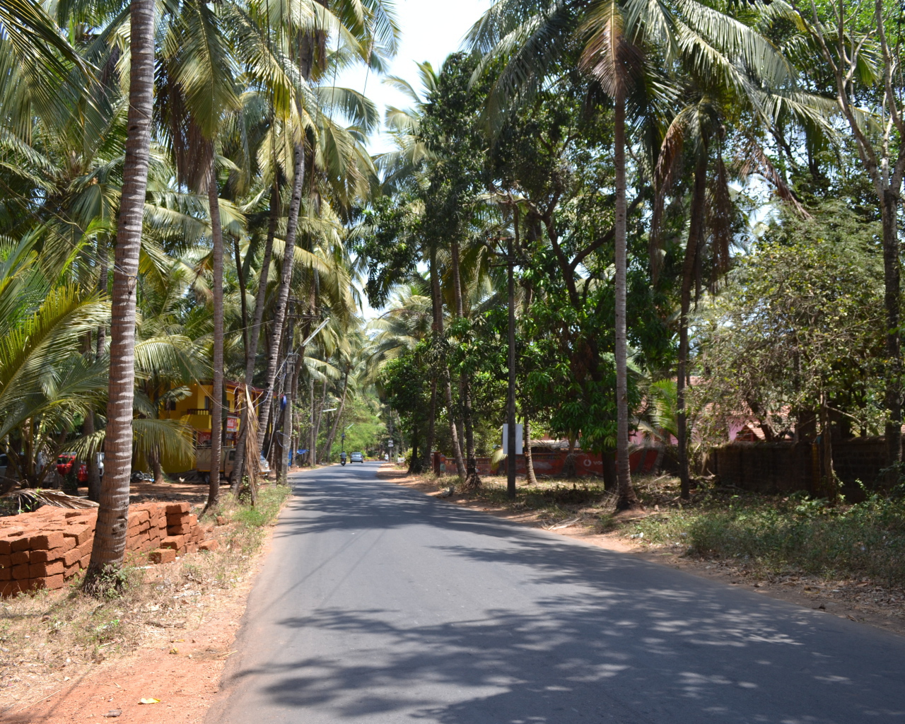 Прогулка по улицам Бенаулима