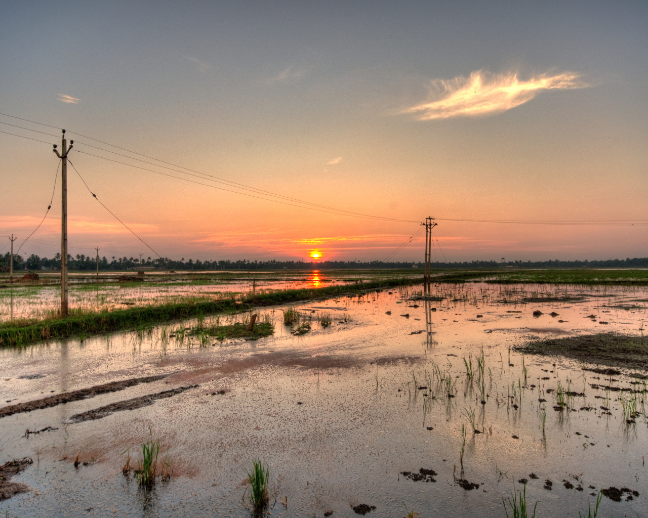 Водная местность в Алапуже