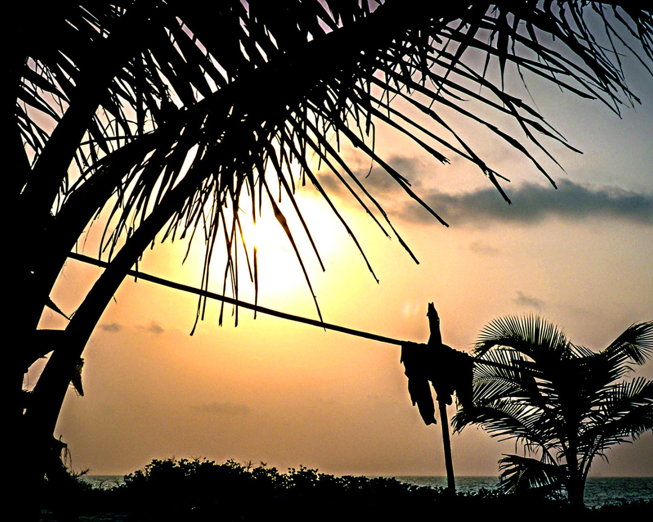 Чудесные закаты в Гоа