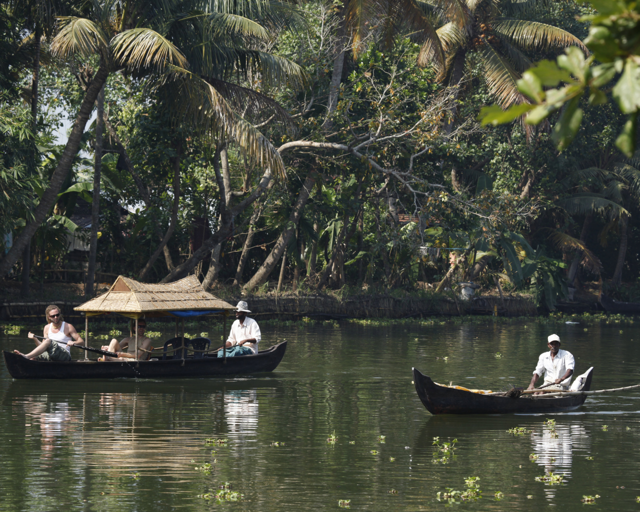 Чудесная погода в Алапуже