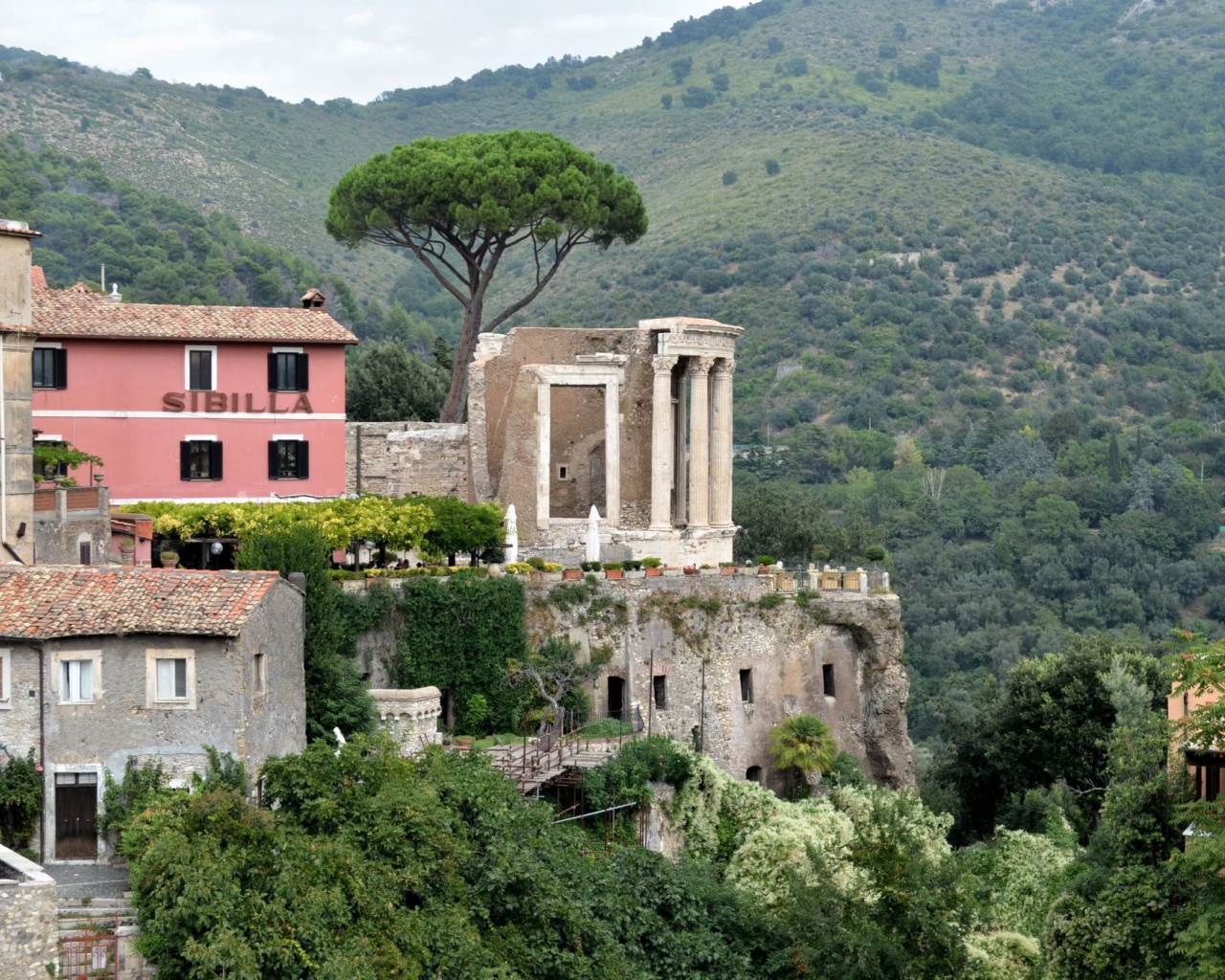 Гнездо хищной птицы в Тиволи, Италия