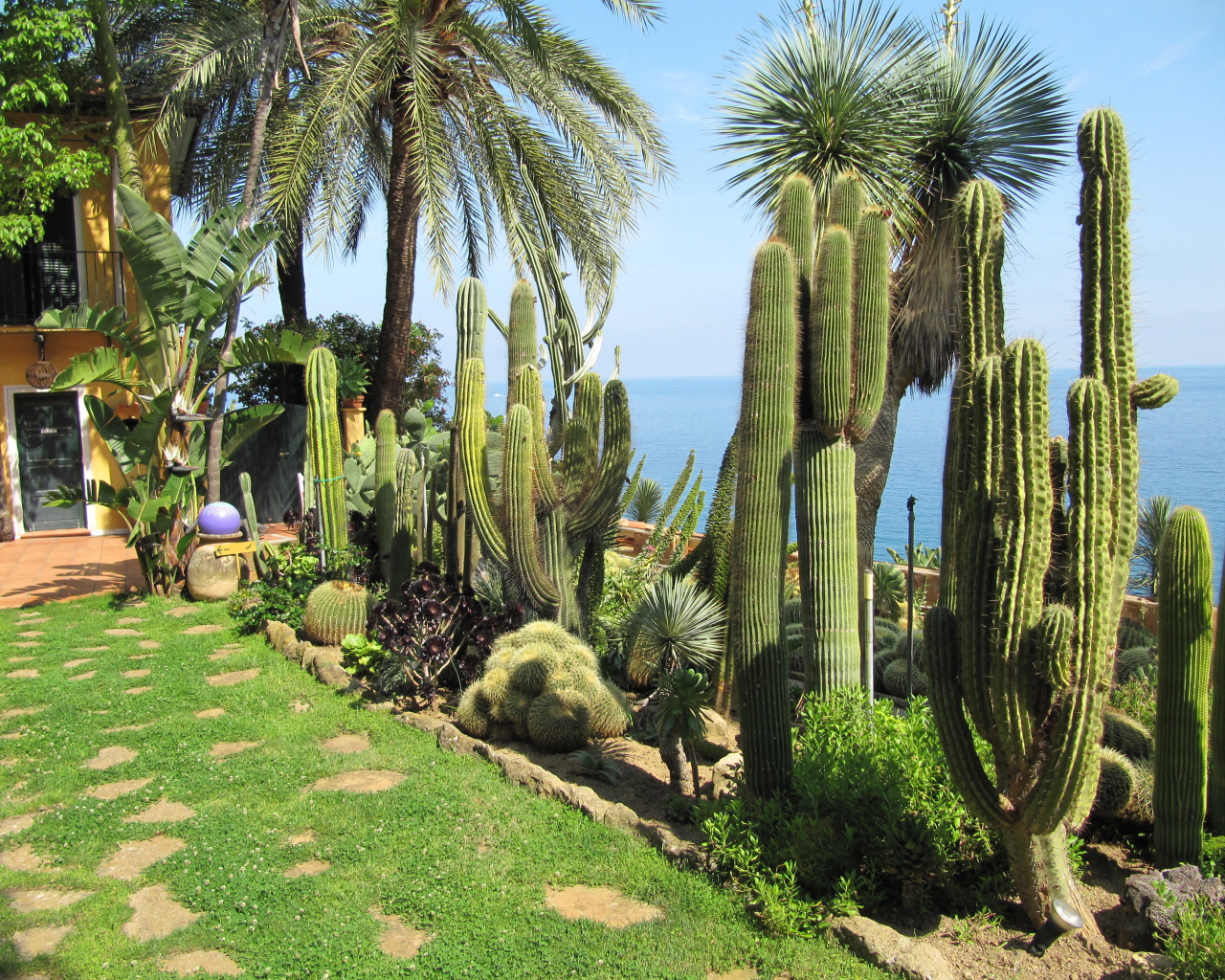 Кактусы на набережной на курорте Бордигера, Италия