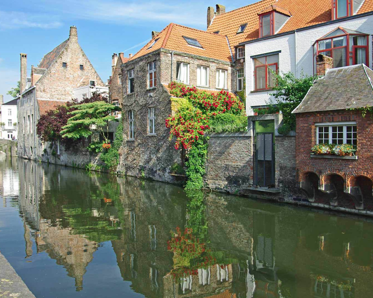 Цветущие растения в Венеции, Италия