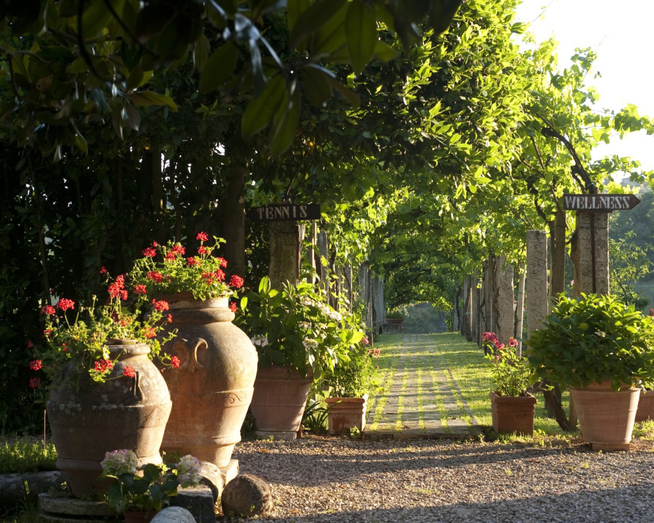 Зеленая аллея в Сиене, Италия