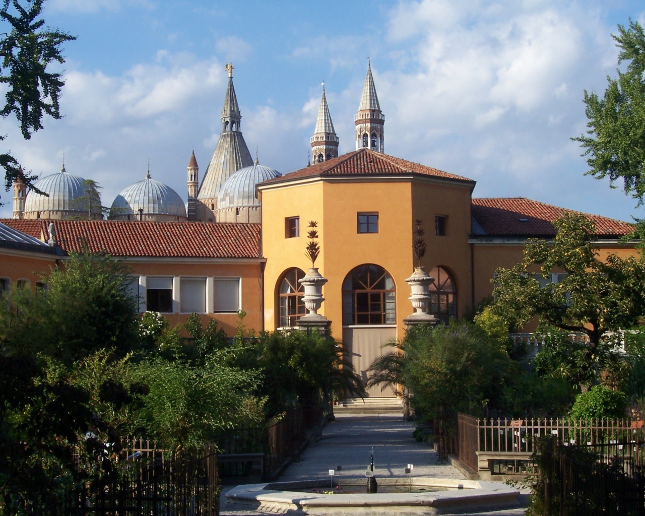 Орто Ботанико в Падуе, Италия