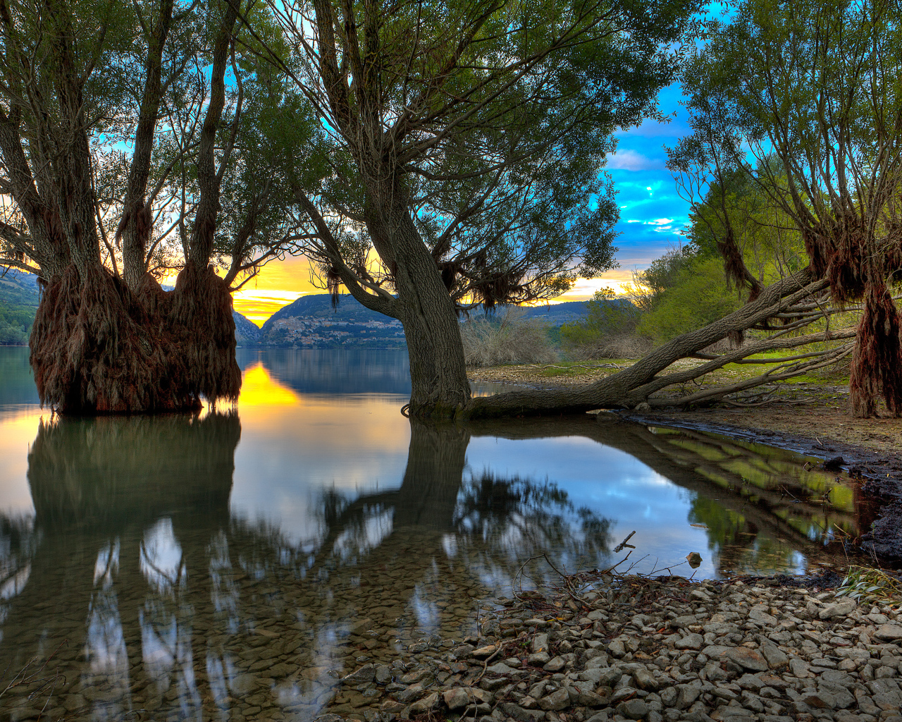 Деревья в озере, Абруццо, Италия