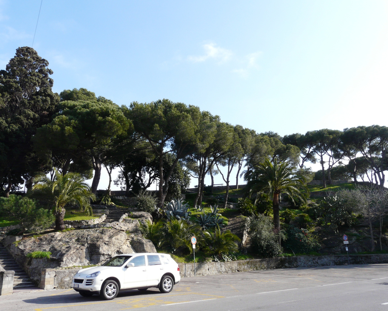 Trees on coast in the resort of Bordighera, Italy
