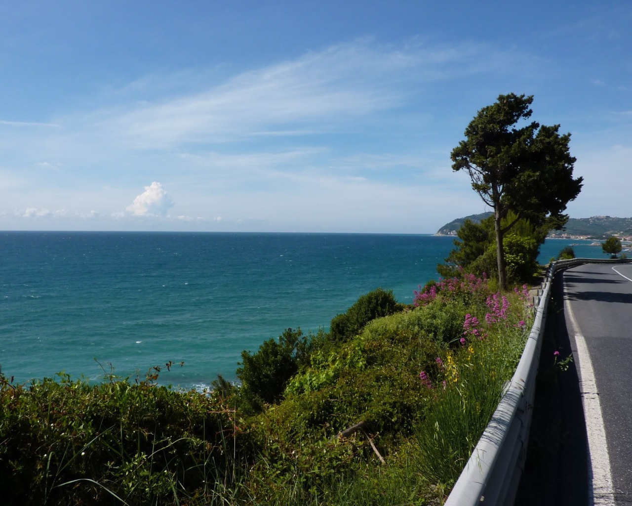 Деревья на набережной в Санто Стефано аль Маре, Италия