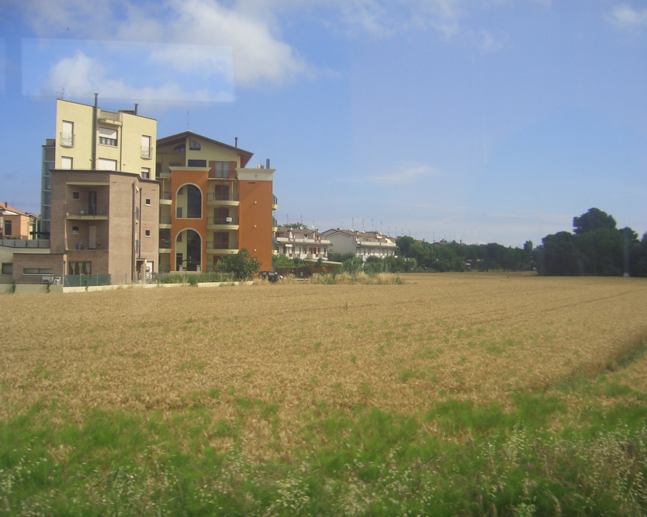 Пшеничное поле в Сан Марино, Италия