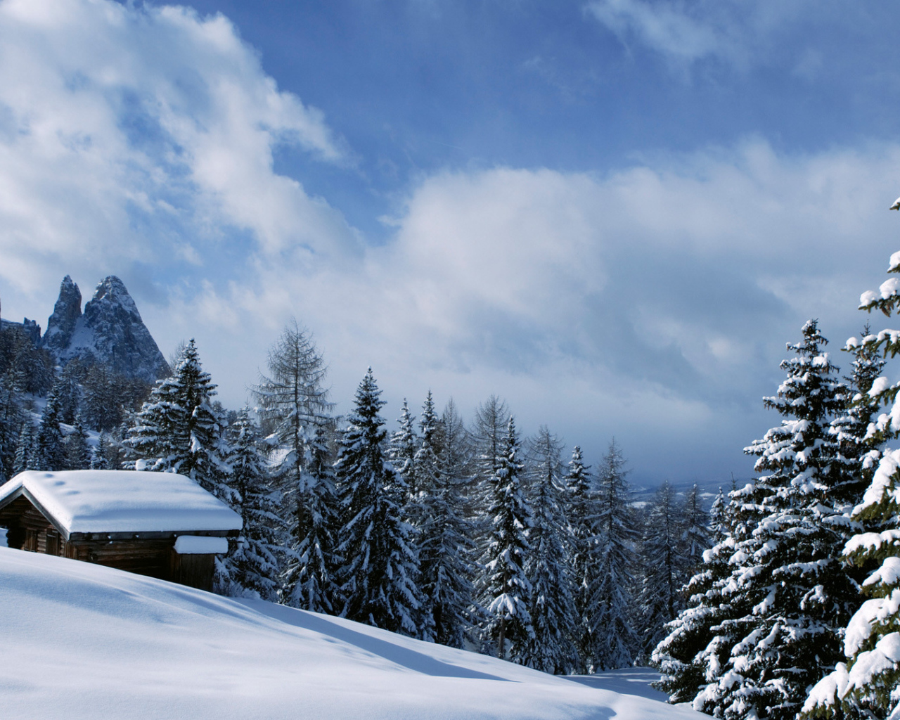 Зимний отдых на горнолыжном курорте Валь Гардена, Италия