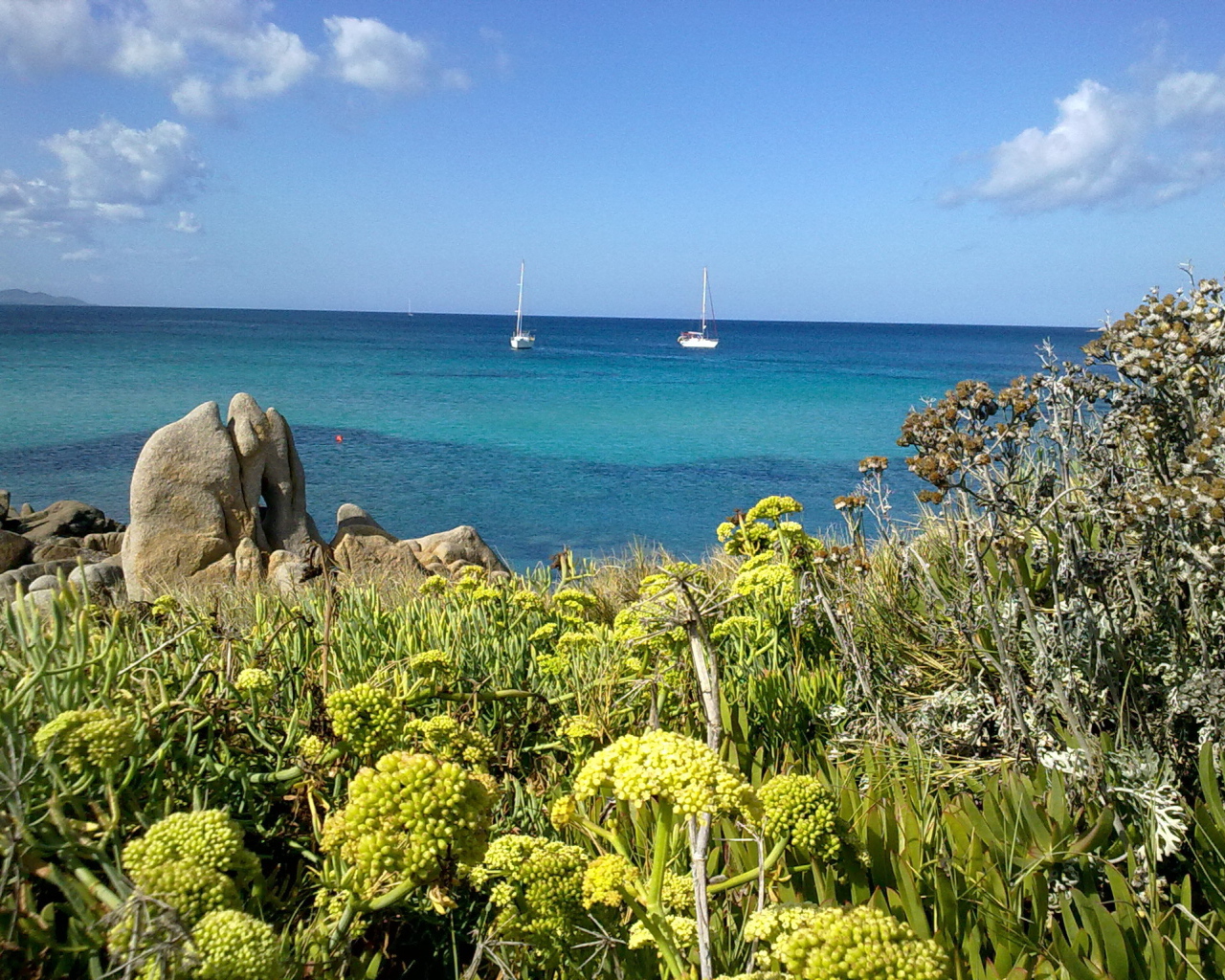 Яхты в заливе на курорте в Пьетра Лигуре, Италия
