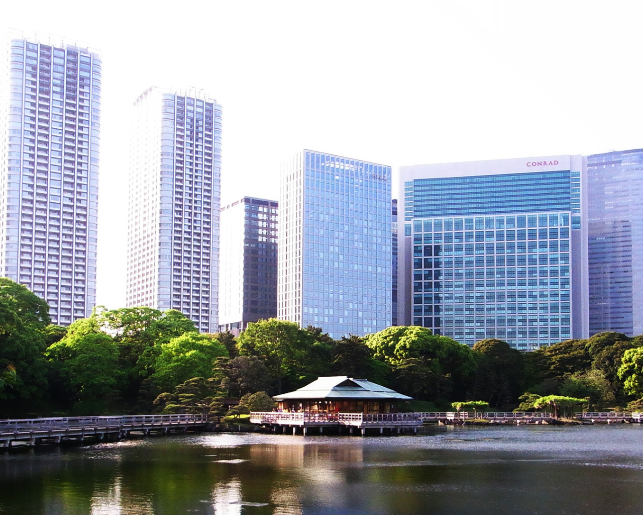 Озеро на фоне зданий в Токио