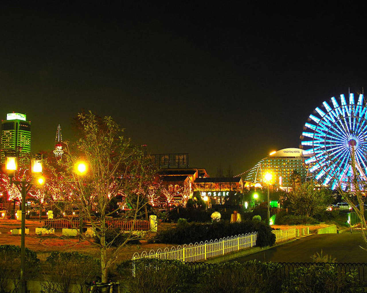 Парк в Токио