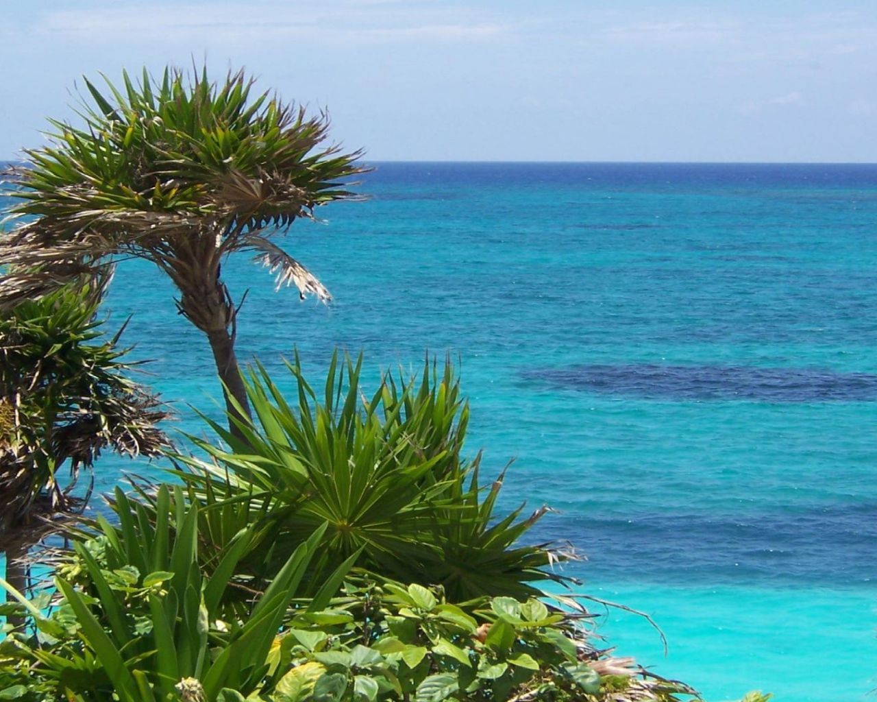 Солнечное Мексика