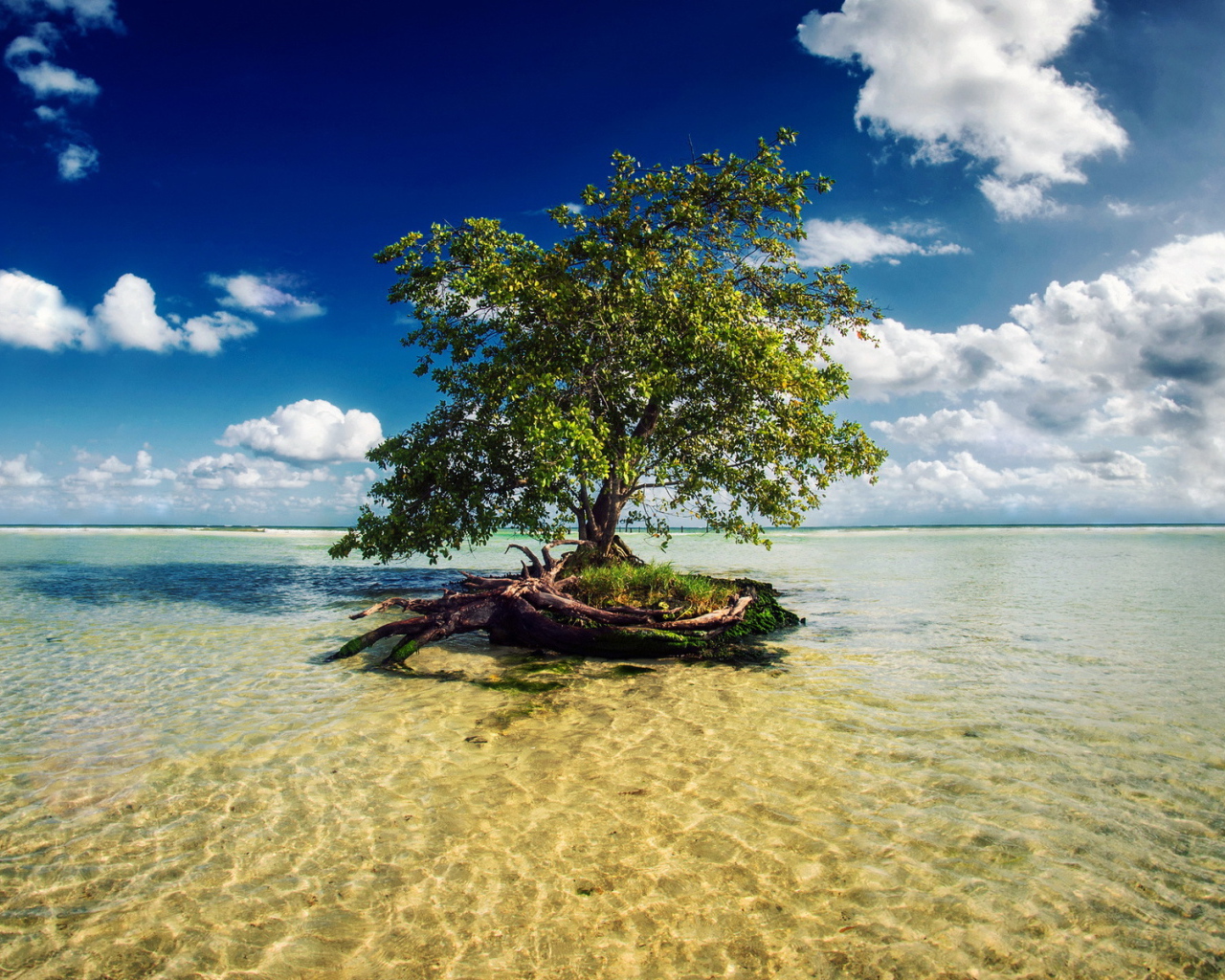 Потрясающое Мексика