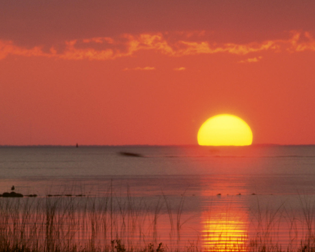 Замечательное место в Мексика