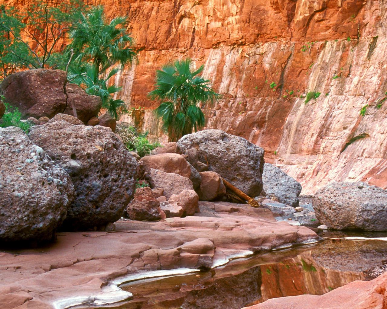 Гран-Плас в Мексика