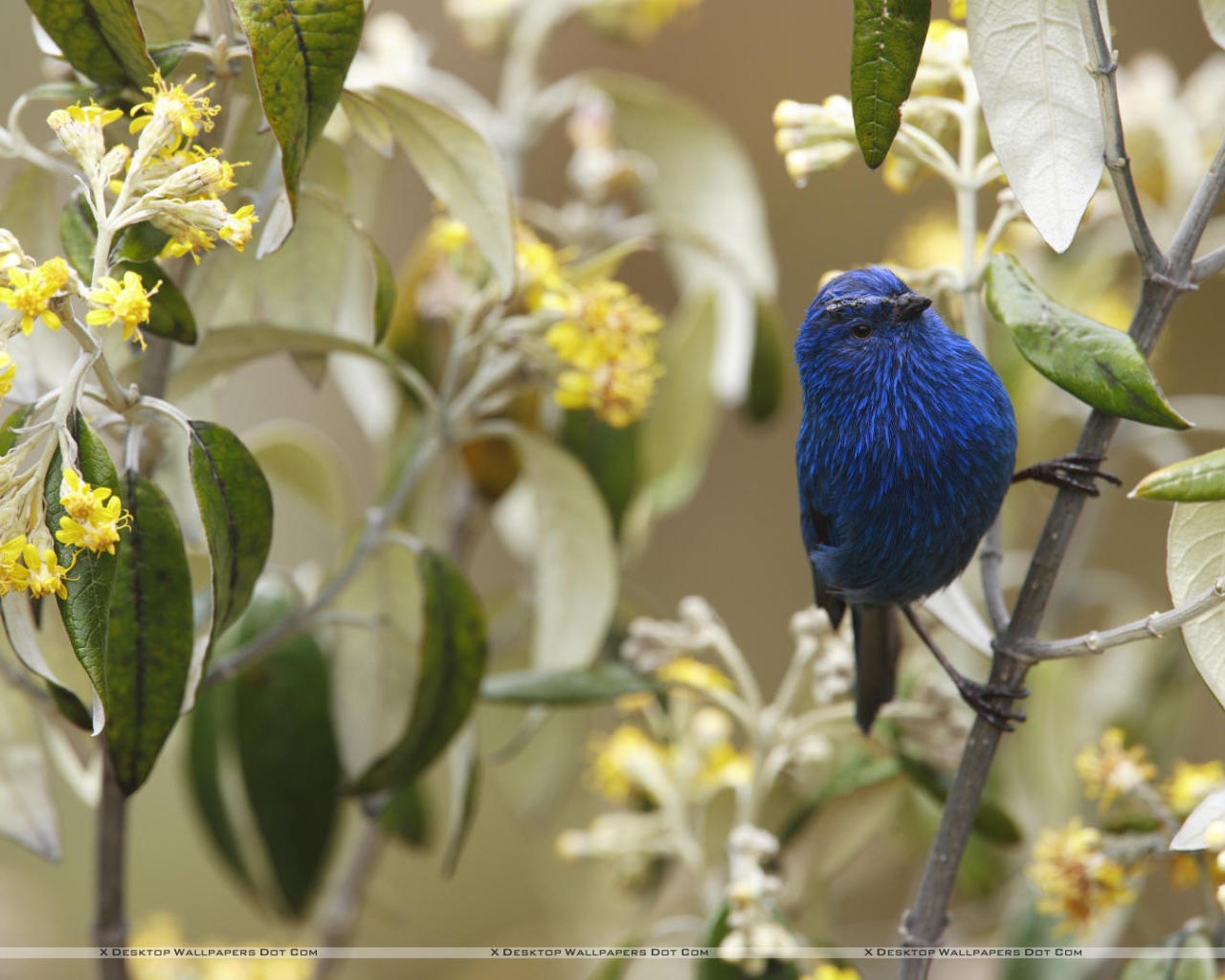 Захватывающие дух Перу