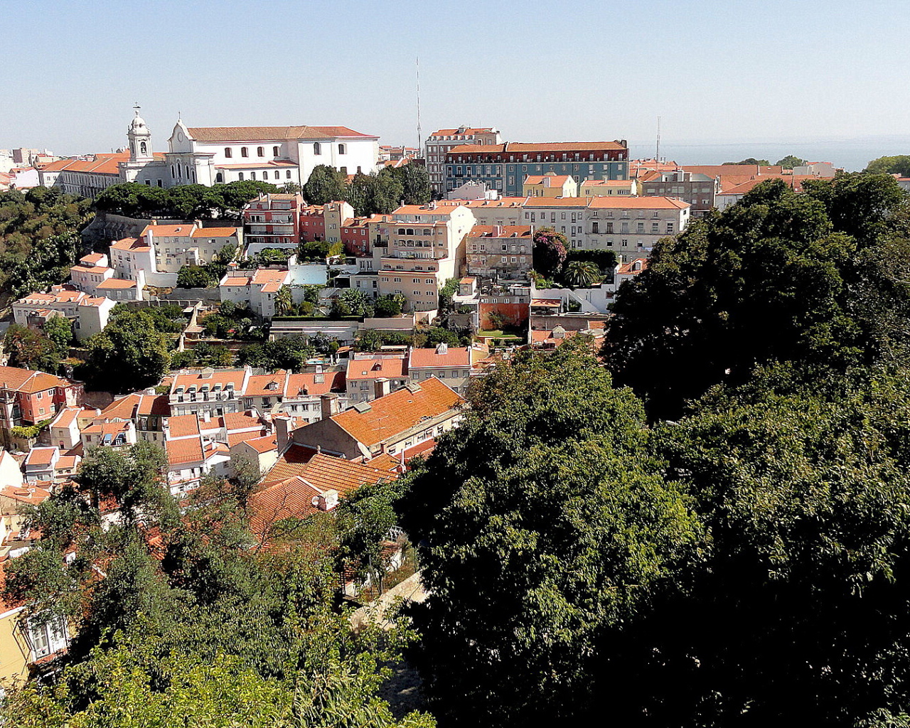 Деревья на фоне Лиссабона