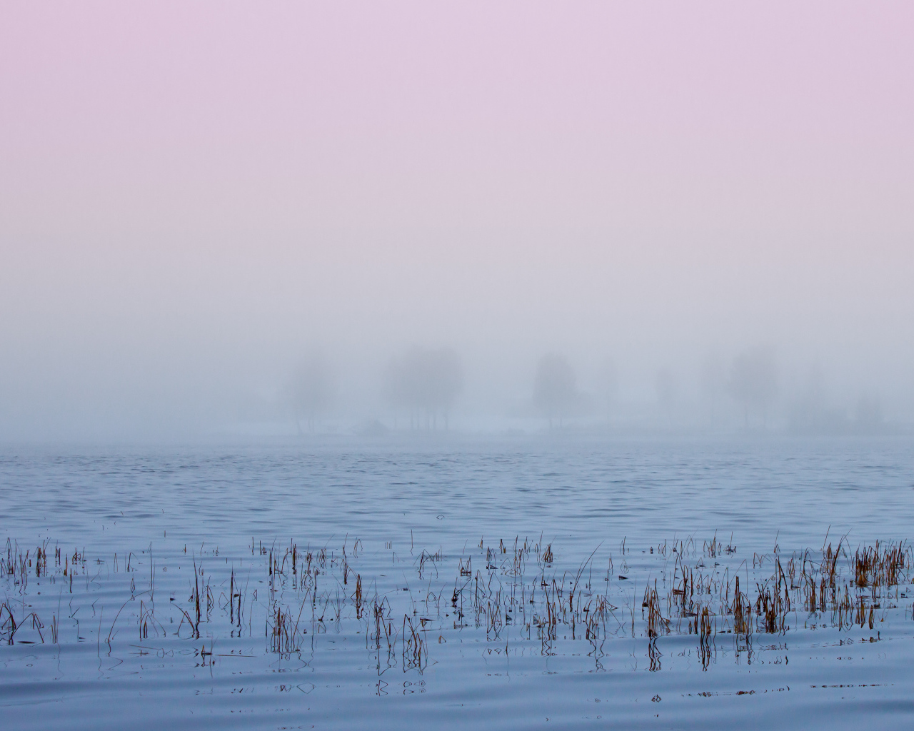 Туман в Швеции